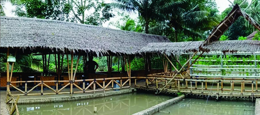 saung-lesehan